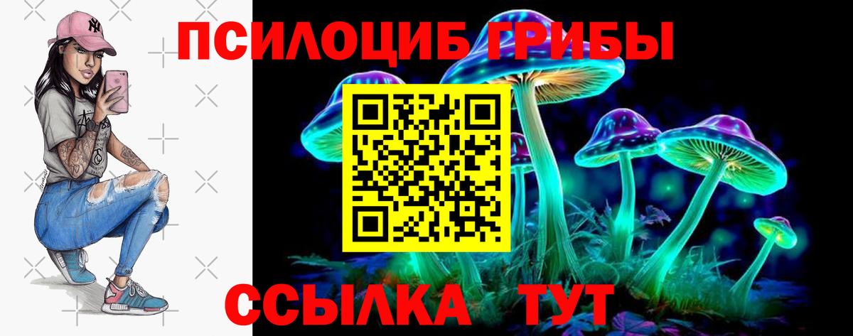 Псилоцибиновые грибы Psilocybine cubensis Родники