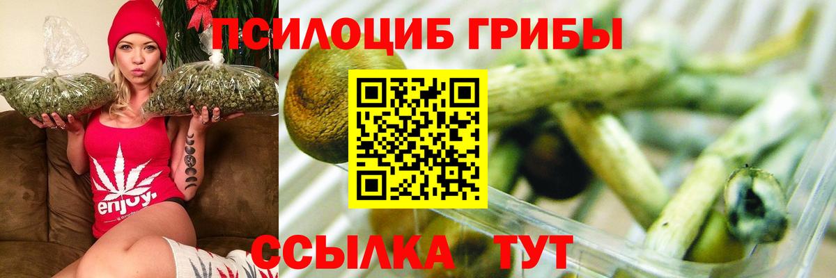 Родники  Галлюциногенные грибы мухоморы  Псилоцибиновые грибы GOLDEN TEACHER  закладка  Вход с VPN 